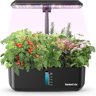 Amazon hydroponic kit