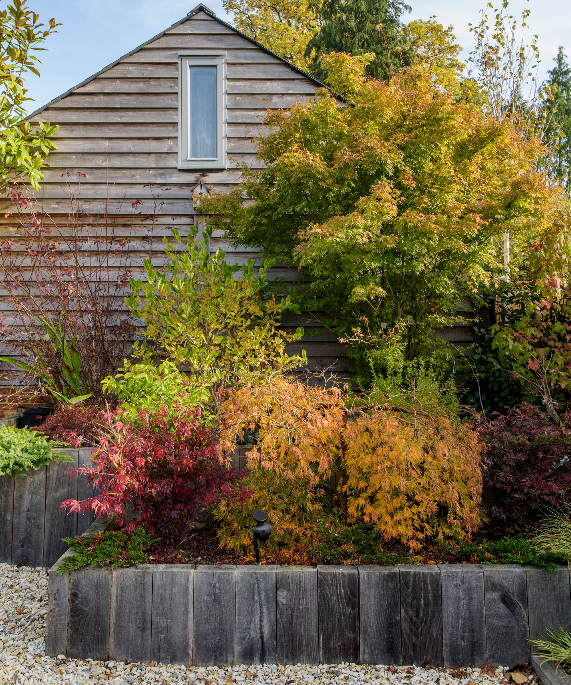 A wooden-edged raised garden bed design with orange and red planting and surrounded by gravel.