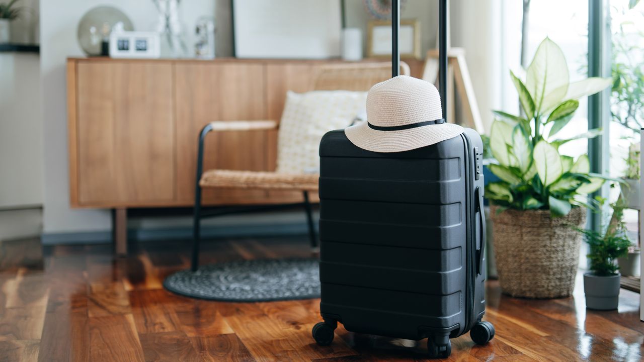 a black roller suitcase with a hat placed on top in a living room in front of a sideboard, armchair and potted plant