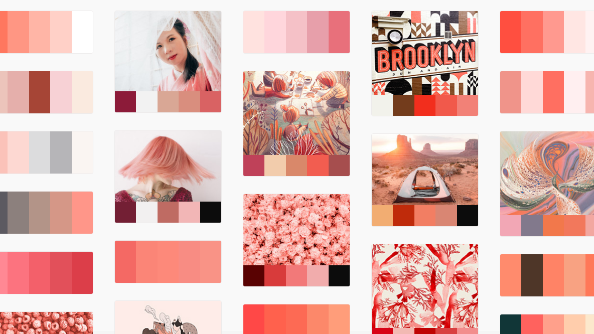 Adobe Color gets fantastic new palette-picking tools | Creative Bloq
