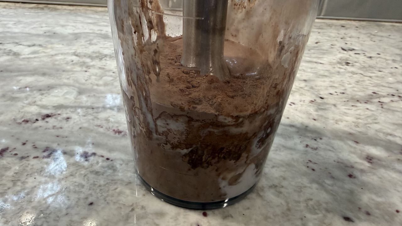 Ninja Power Duo Immersion Blender with Whisk making frozen yogurts