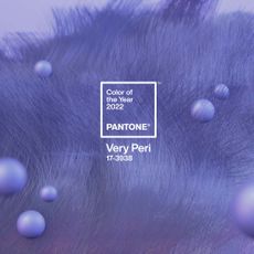 pantone violet colour magazine
