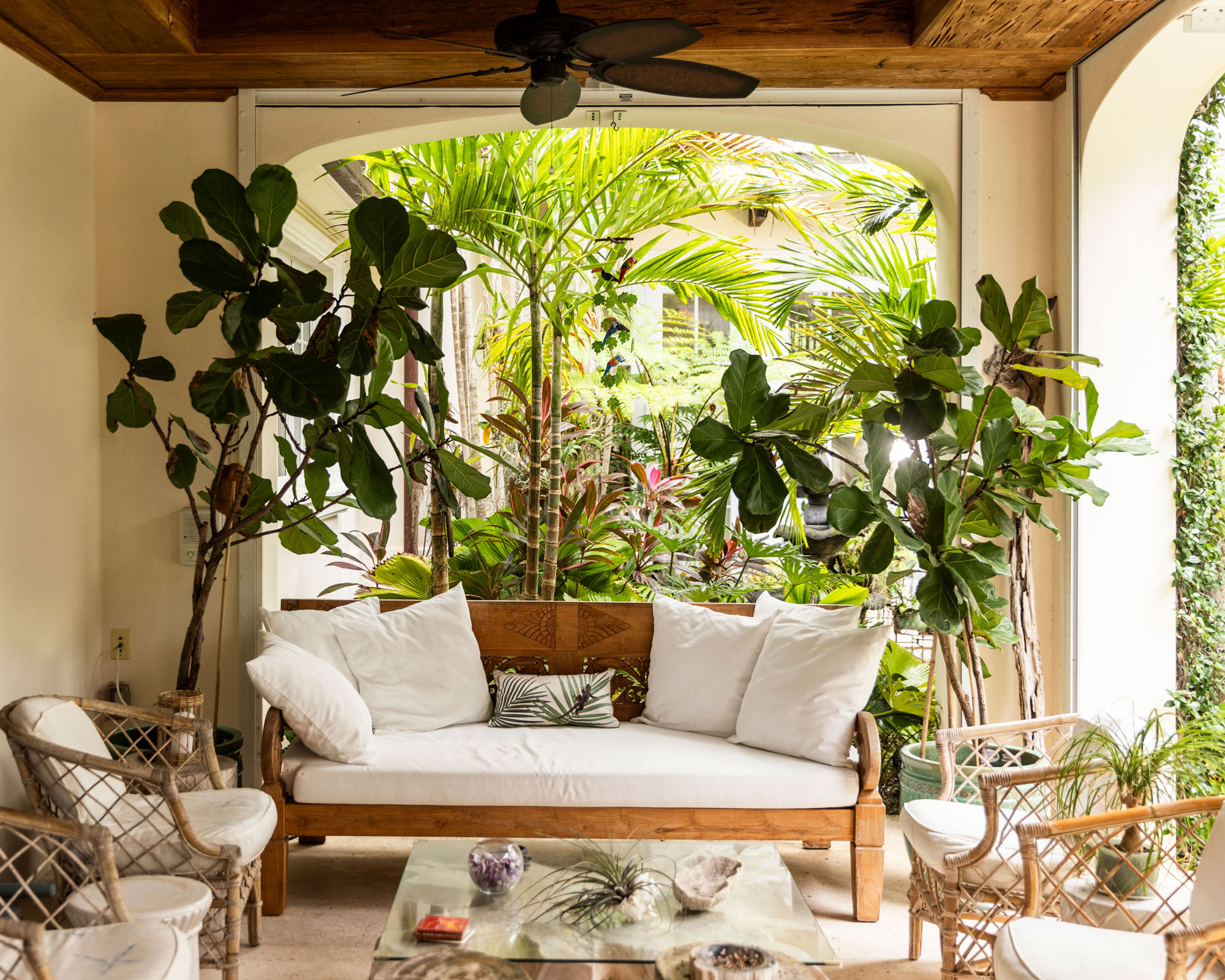 covered patio with garden furniture, statement plants in pots, table with accessories and ceiling fan
