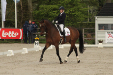 IMG_0876-e1463398833110.png