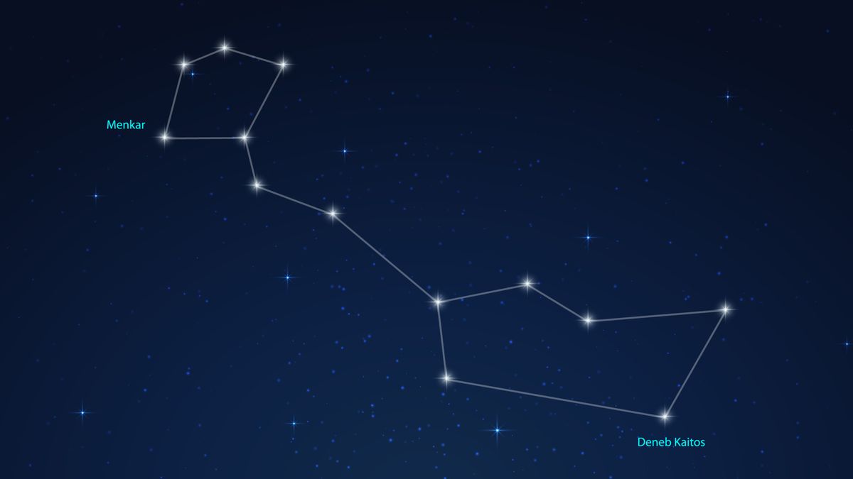 Las estrellas de la constelación de Cetus se muestran brillando en un cielo nocturno simulado unidas por líneas de espinillas que revelan el contorno clásico de la constelación.