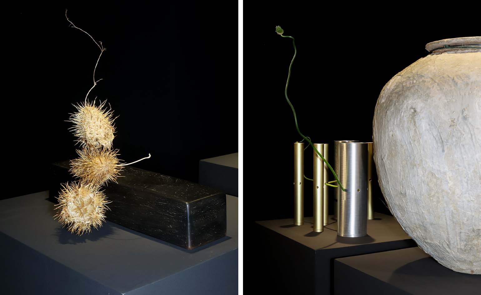 Dries Van Noten hosts ikebana-themed exhibition in LA | Wallpaper