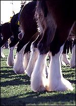 F1DB8F51-3797-425D-BC46-B0E19BDAD756.jpg