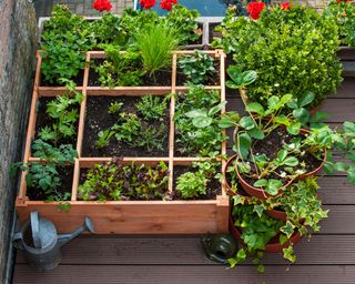 A raised garden bed with dividers on a balcony