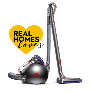 Dyson Big Ball Animal 2 with Real Homes Loves logo