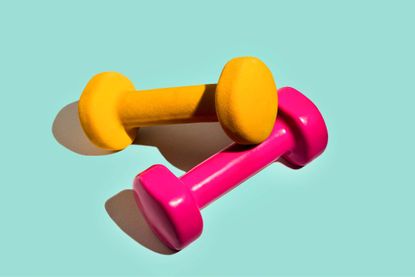 a colorful pair of the best dumbbells on display