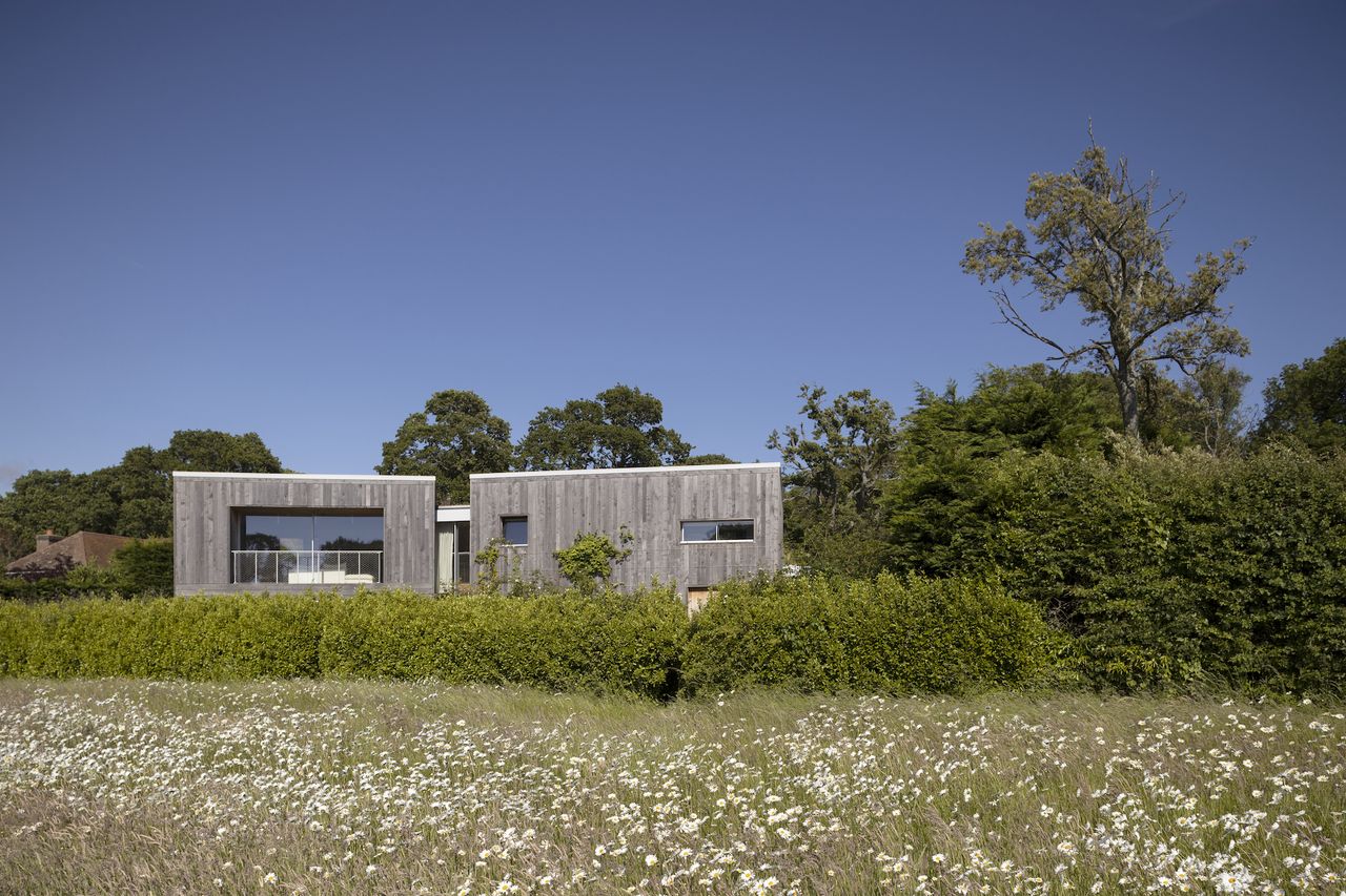 self build eco home with timber cladding