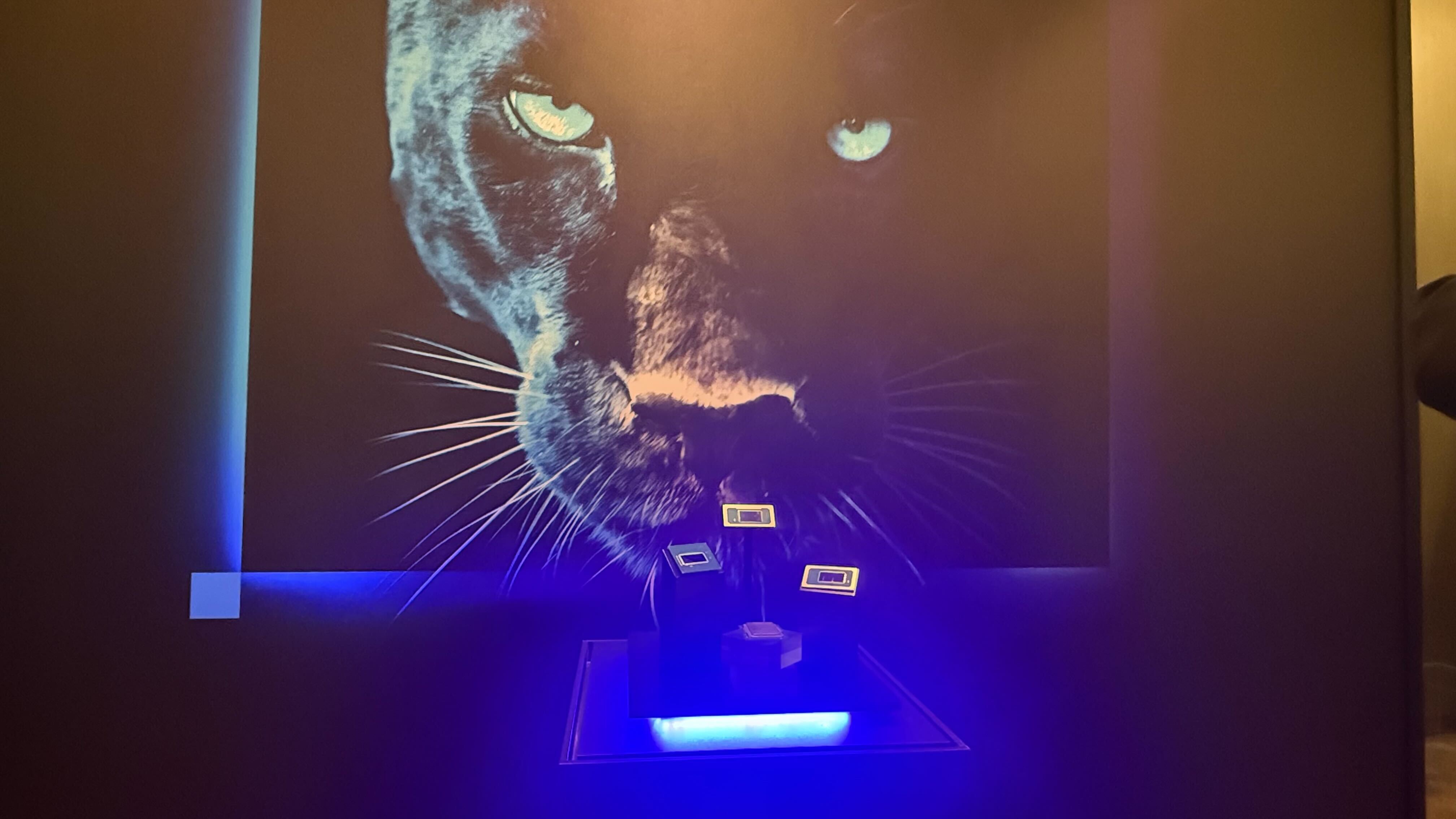 Display of Intel chips with the Panther Lake logo in the background.