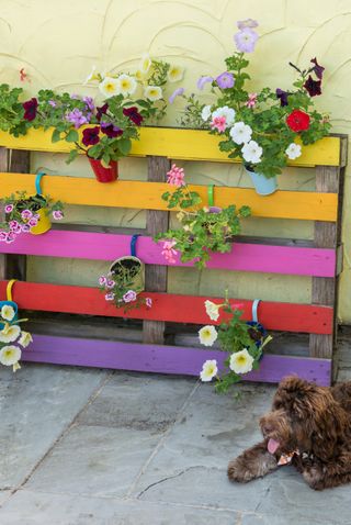 Painted pallet used as a hanging plant support