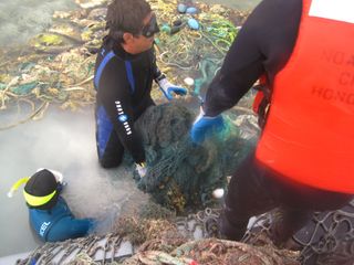 Divers remove nets and debris from the Pacific during a June/July 2012 NOAA mission.