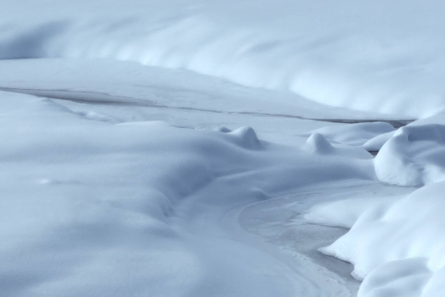 GuruShots - February 2026