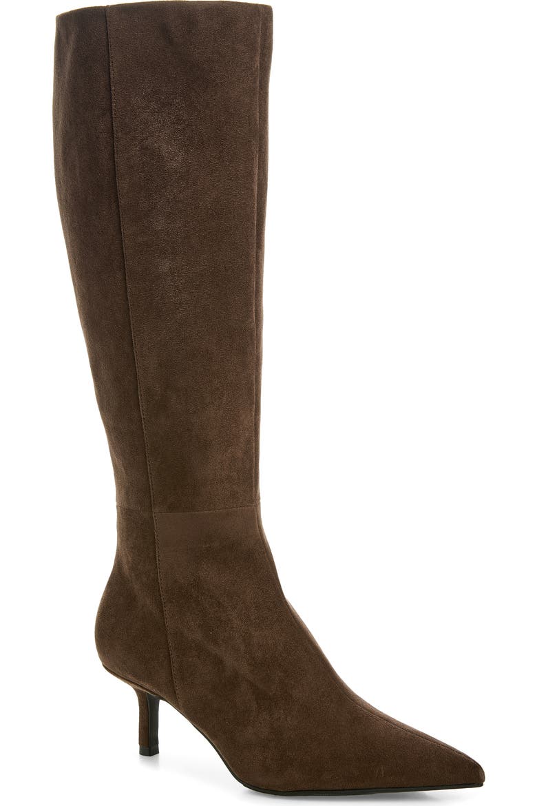 Elara Pointed Toe Knee High Boot
