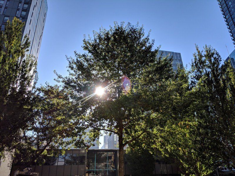 Google Pixel 3 photo sample