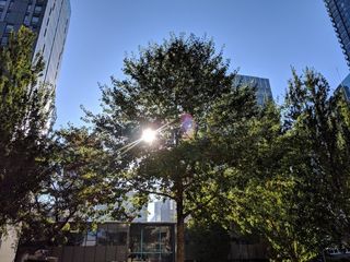 Google Pixel 3 photo sample