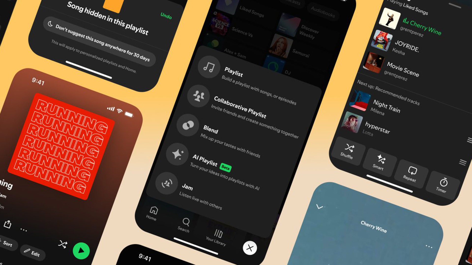Spotify features