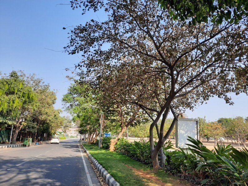 Galaxy A51 camera sample