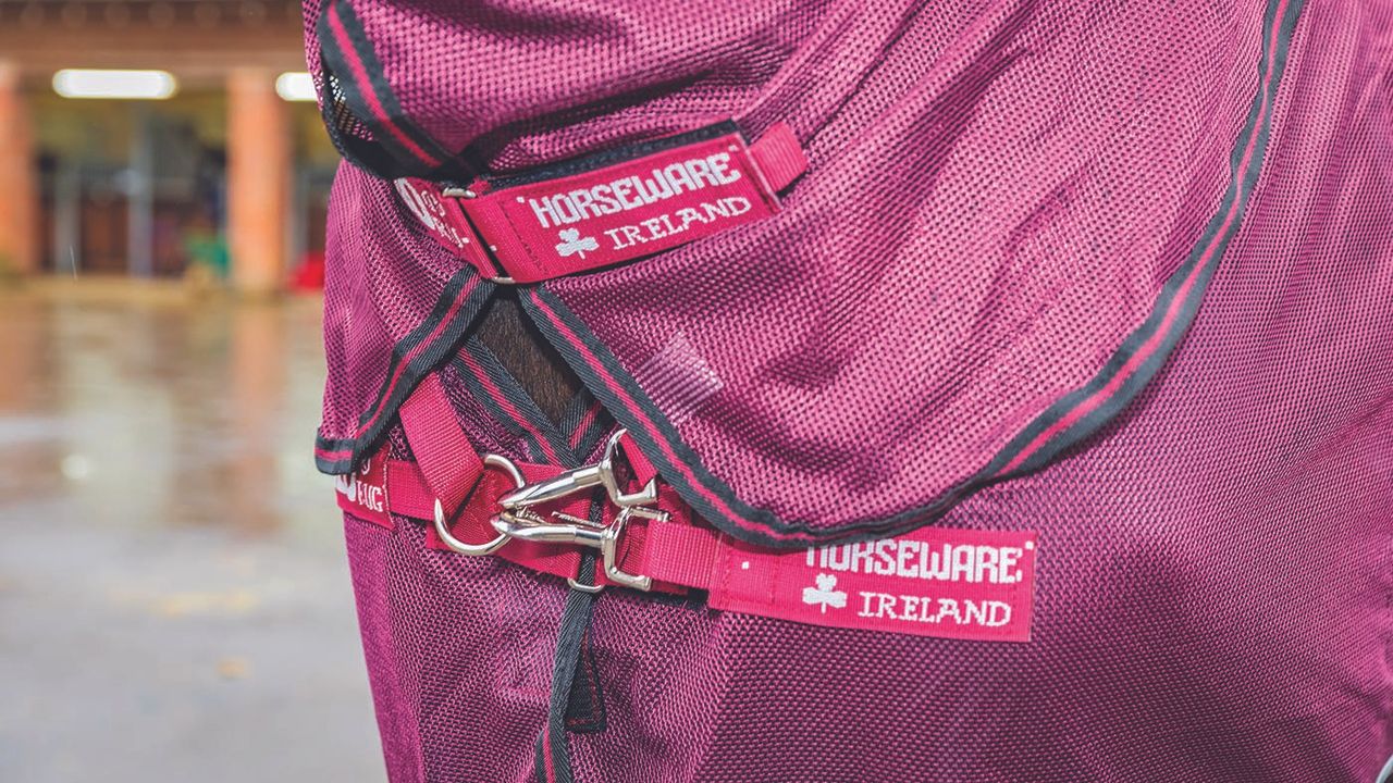 Horseware Rambo Summer Series&nbsp;review