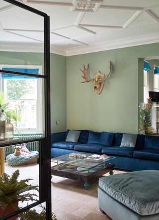 Green living room with blue sofa