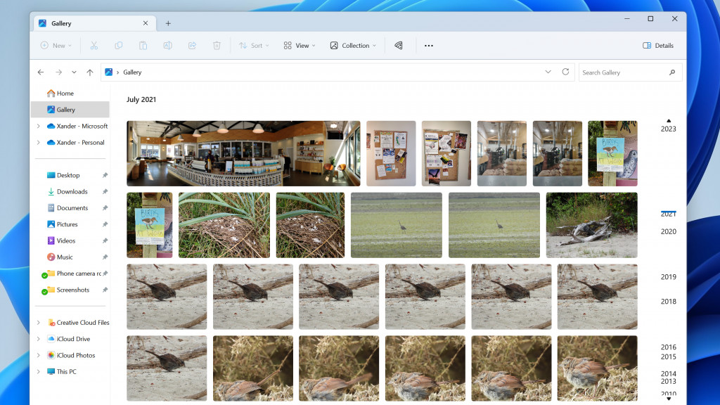 Windows 11 Photo Gallery