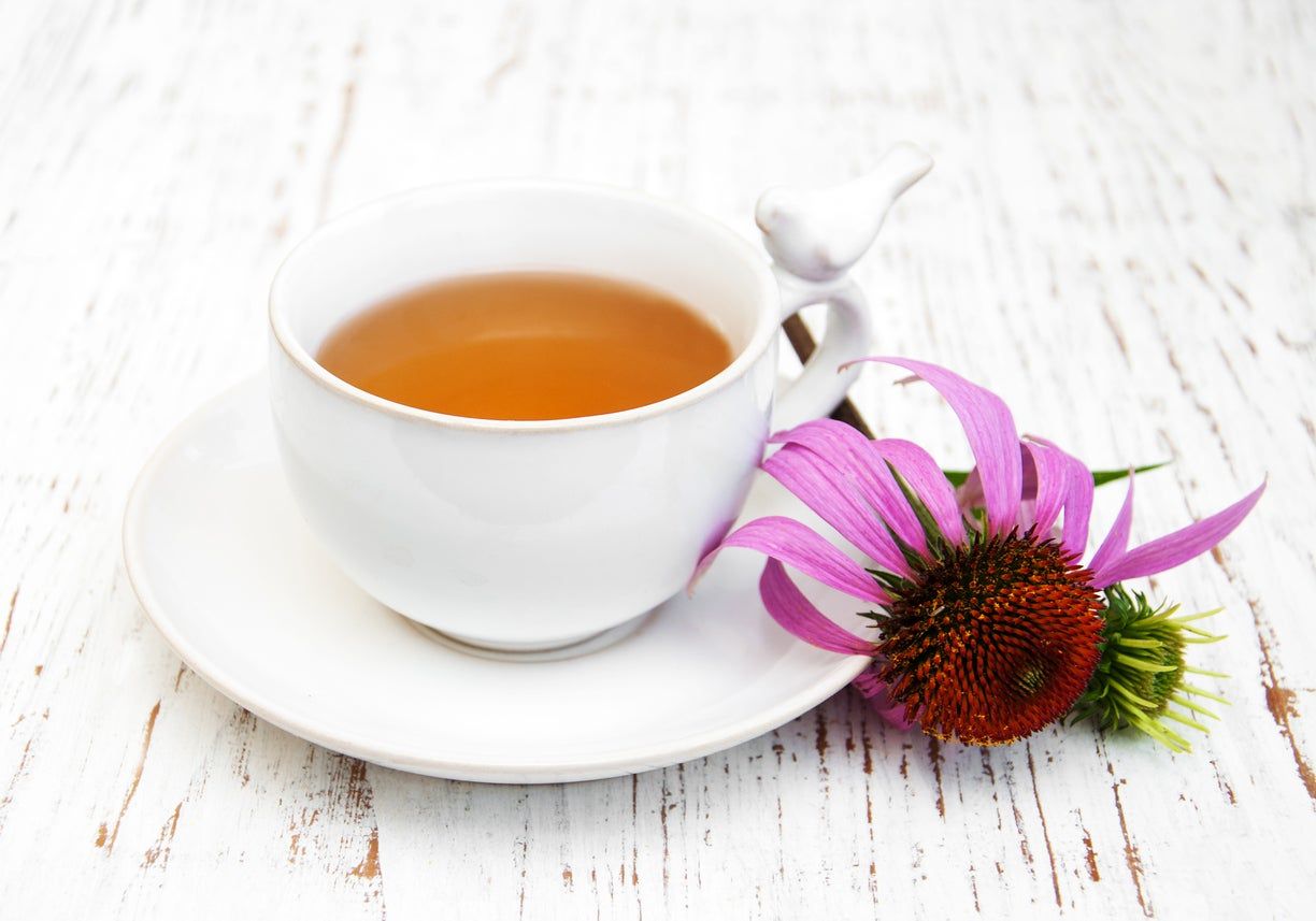 Coneflower Next To Cup Of Tea