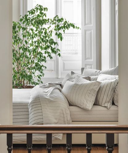 Side view of white and black striped bedding on a bed; in the background, white windows and a leafy green houseplant. 