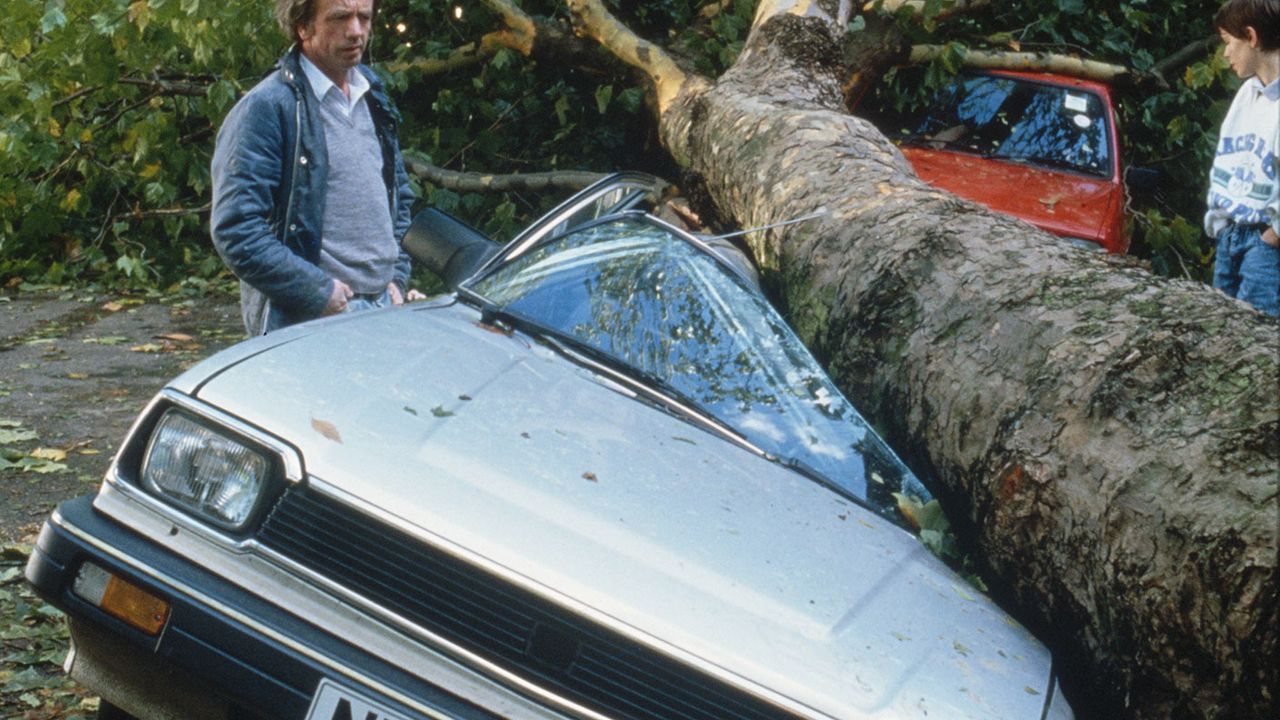 Cars crushed by falling tree © Georges De Keerle/Getty Images