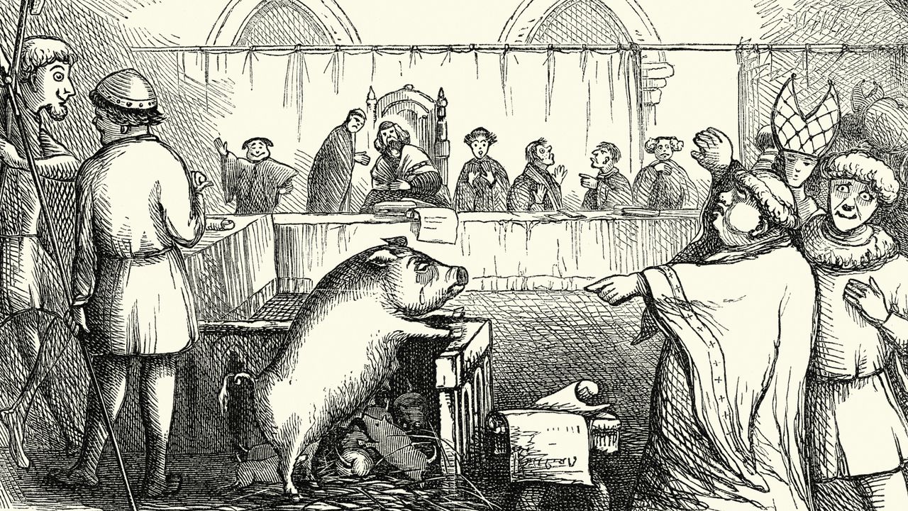 Animals were imprisoned in jails where humans were incarcerated: The bizarre trials of the Late Middle Ages — and surprising lack of criminal cats Animals were imprisoned in jails where humans were incarcerated: The bizarre trials of the Late Middle Ages — and surprising lack of criminal cats