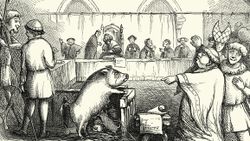 old illustration showing a pig on trial 