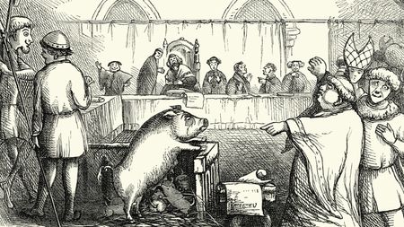 old illustration showing a pig on trial