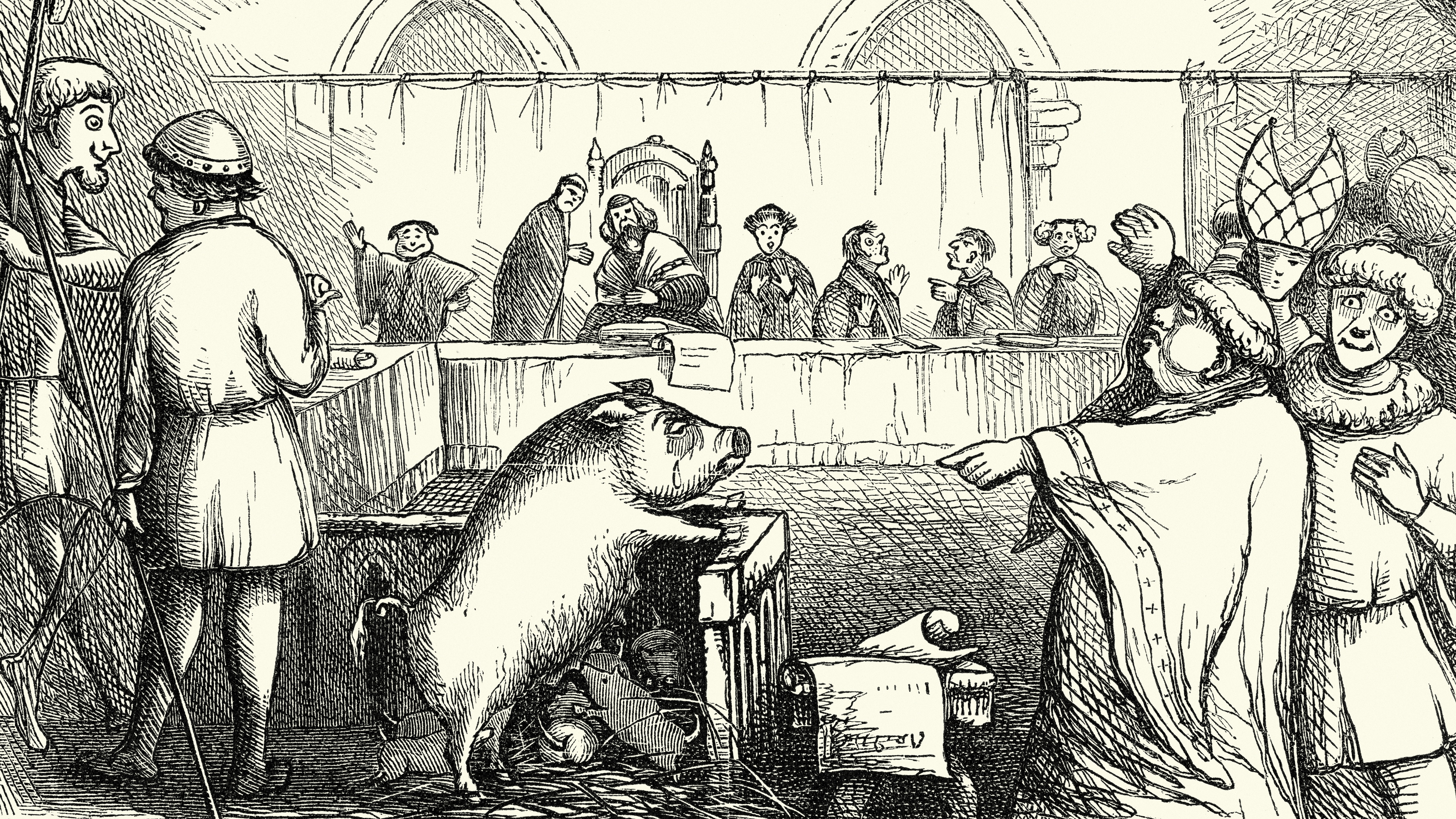 old illustration showing a pig on trial 