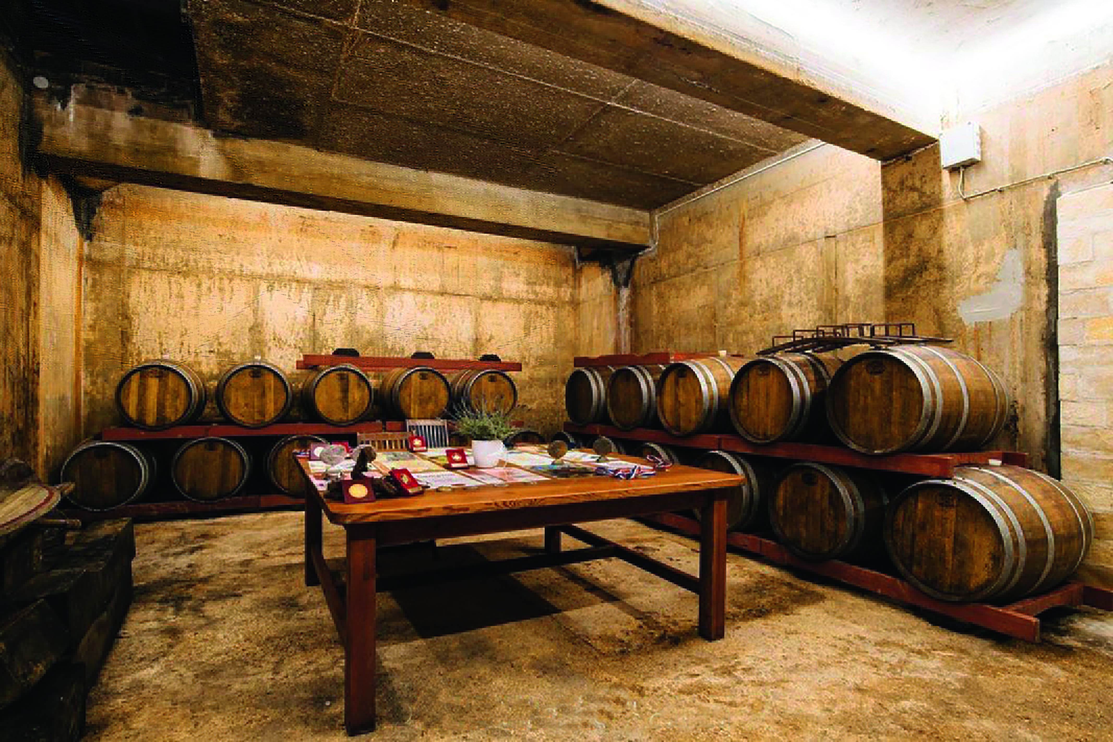 A cellar with oak barrels around the room and a table in the middle
