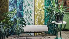 Houseplants against patterened background