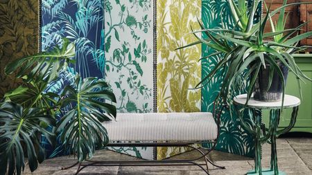 Houseplants against patterened background
