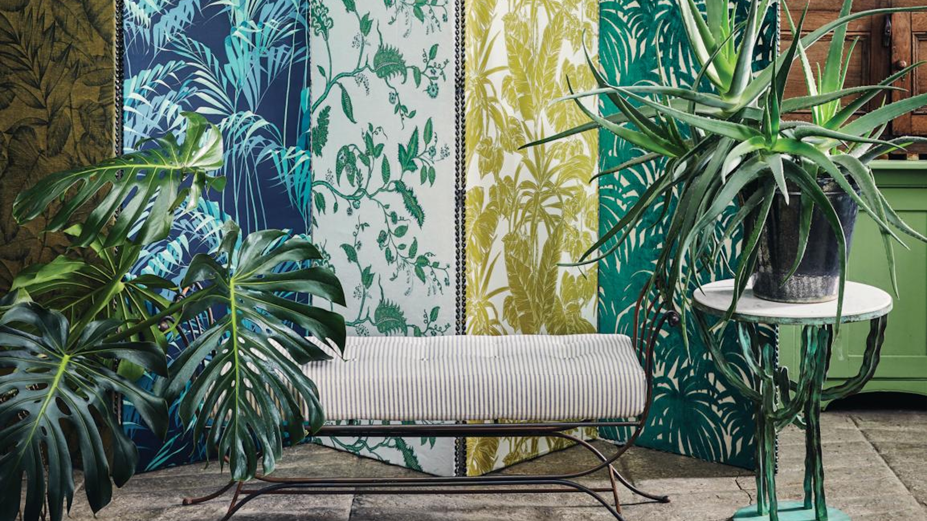 Houseplants against patterened background