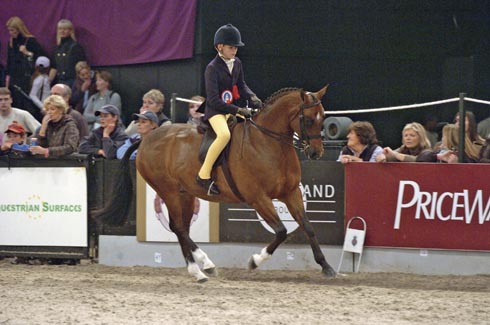 Chiddock Over The Limit - supreme pony