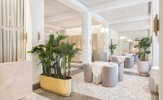 Alternative view of the entrance and dining area at Odette featuring pendant lights, round tables with tableware, curved chairs and green plants in round white pots and a gold oval planter