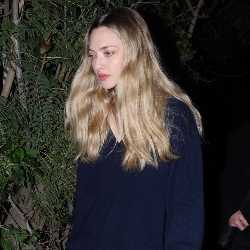 Amanda Seyfried wears the Reformation Jadey jumper with black pointed-toe heels.