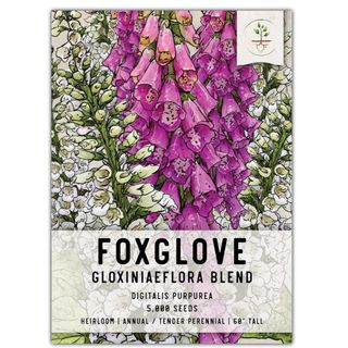 Mixed Gloxiniaeflora Foxglove Seeds