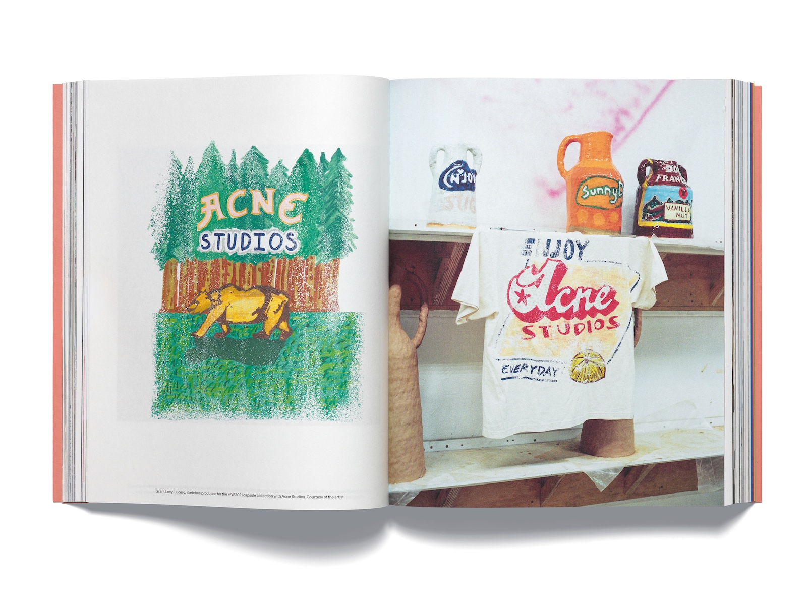 Acne Paper Issue 21 30th Anniversary Magazine