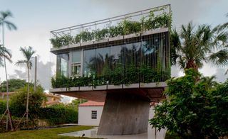 hero exterior of Christian Wassmann's sunflower house in Miami, engulfed in greenery
