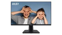 MSI Pro MP251 Monitor: now $79 at Newegg