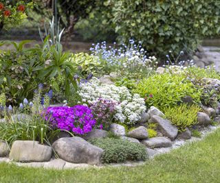 Beautiful colorful spring rock garden, blooming flowers and different sized pebbles and rocks