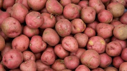 Red potatoes are offered for sale at Eastern Market on Capitol Hill in Washington, DC, on June 27, 2008. According to a survey released on June 26, nearly a quarter of Americans are cutting b