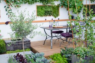 A small kitchen garden allotment with an outdoor dining table
