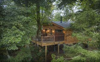 exterior of treehouse in forest
