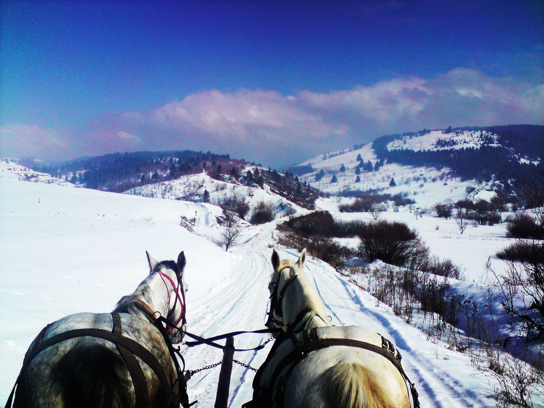 GuruShots - February 2026